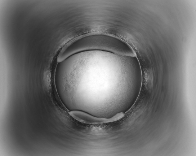 X0000096640684200802051128