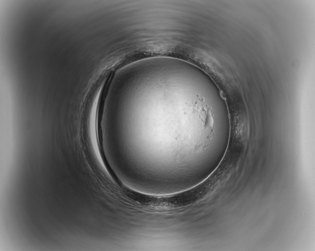 X0000096640685200802051128