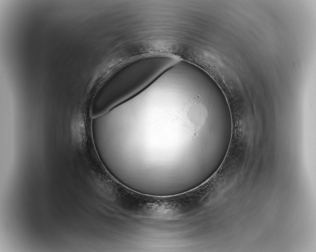 X0000096640688200802051128