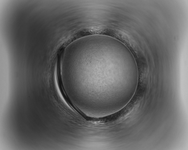 X0000096640689200802051128