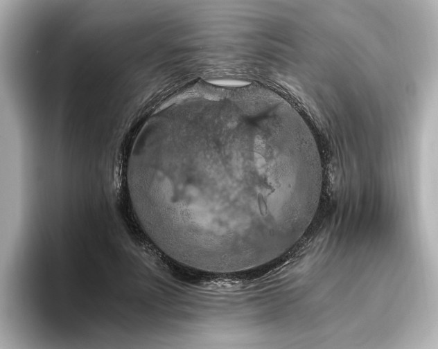 X0000096640691200802051128