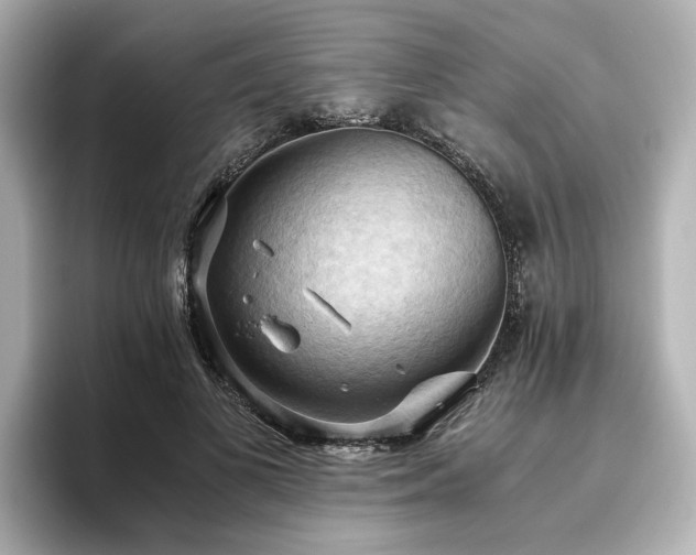 X0000096640693200802051128