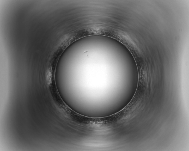 X0000096640694200802051128
