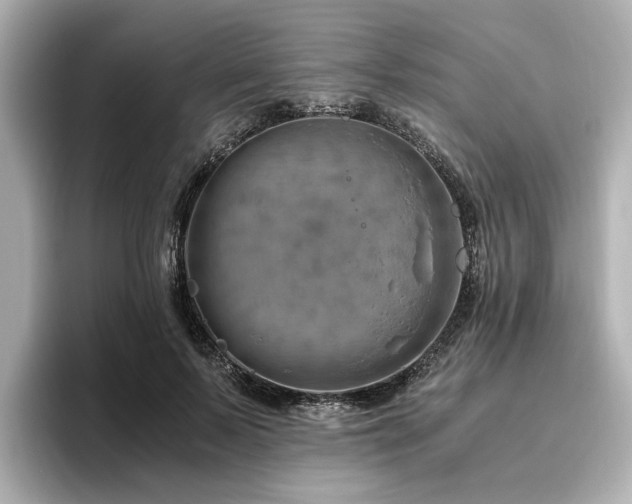 X0000096640695200802051128