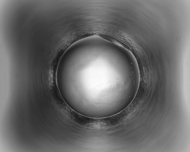 X0000096640696200802051128