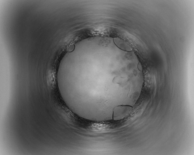 X0000096640699200802051128