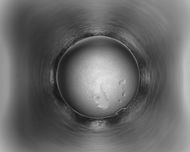 X0000096640700200802051128