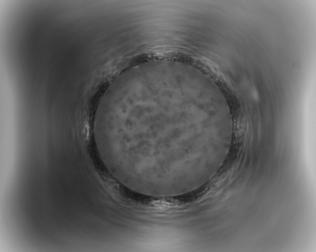 X0000096640703200802051128