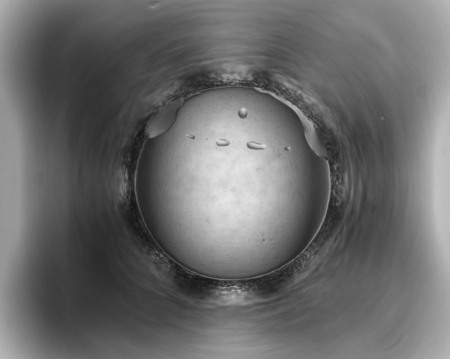 X0000096640704200802051128