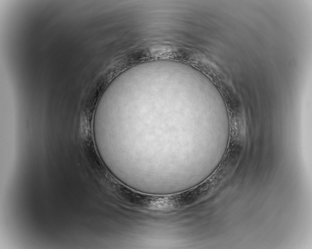 X0000096640705200802051128