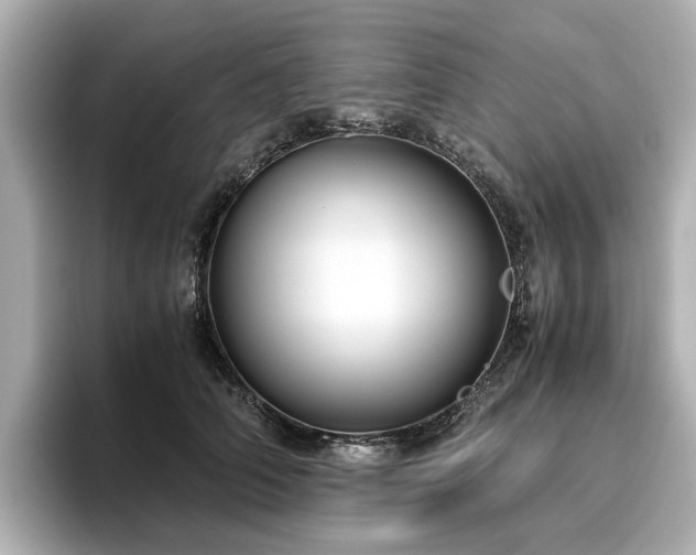 X0000096640706200802051128