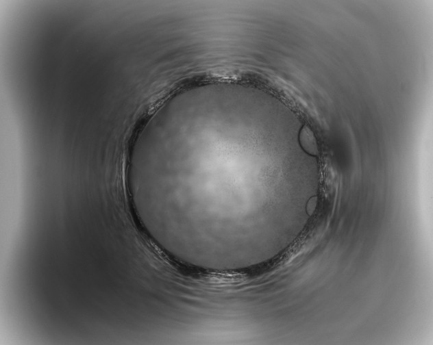 X0000096640707200802051128