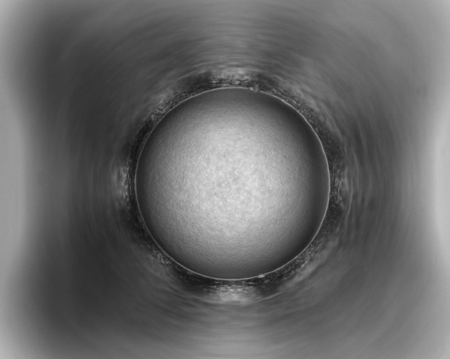 X0000096640708200802051128