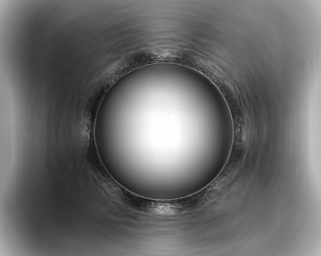 X0000096640710200802051128