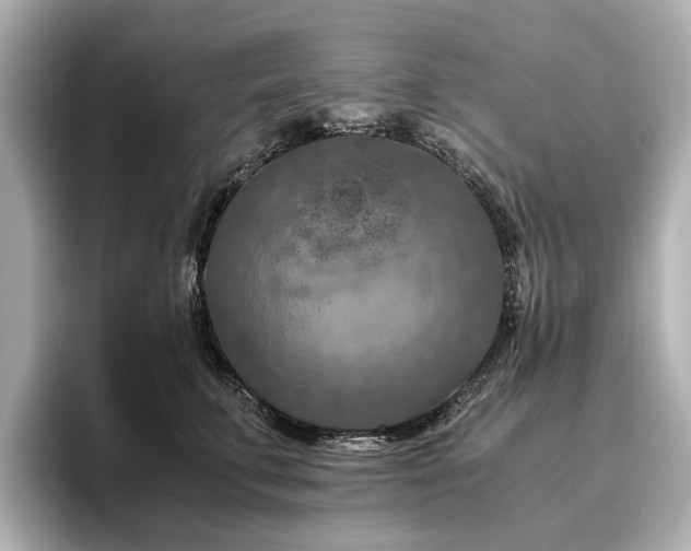 X0000096640711200802051128