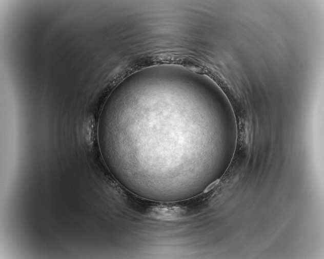 X0000096640712200802051128