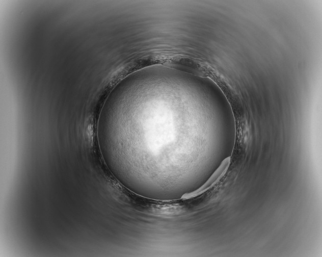 X0000096640716200802051128