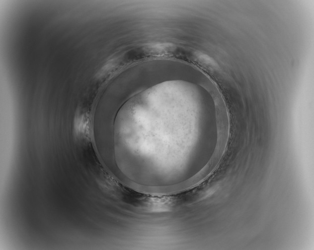 X0000096640720200802051128