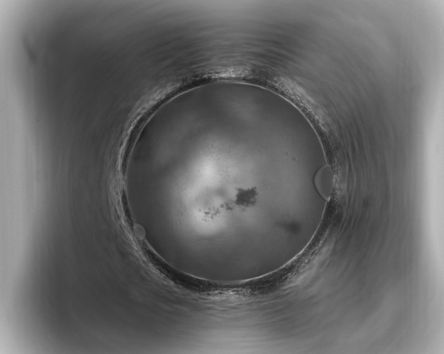 X0000096640721200802051127