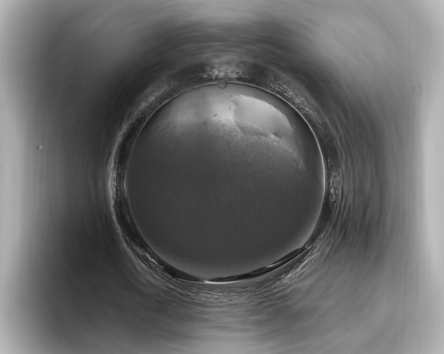 X0000096640722200802051127
