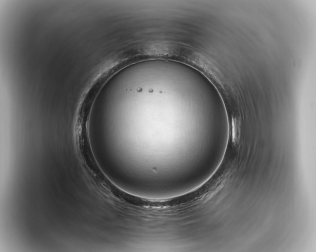 X0000096640723200802051127