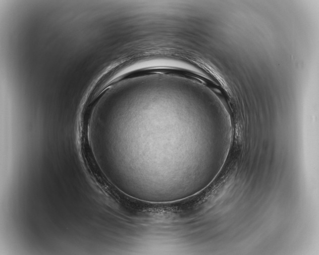 X0000096640724200802051127
