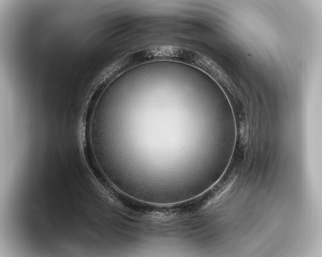 X0000096640725200802051127