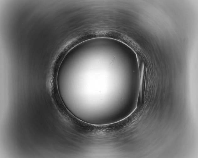 X0000096640728200802051127
