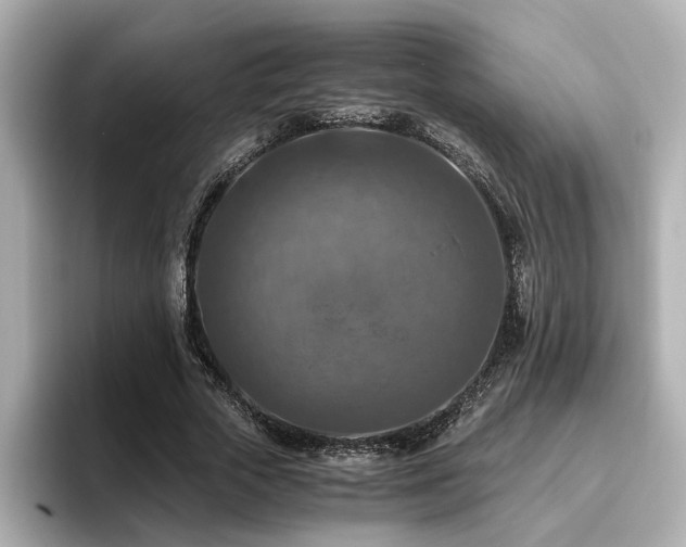 X0000096640729200802051127