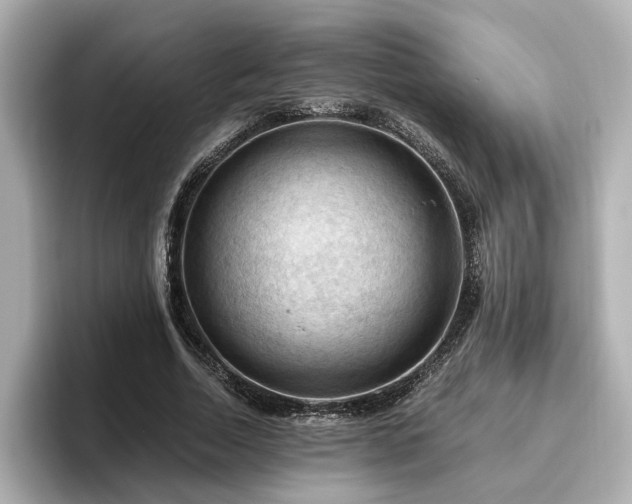X0000096640730200802051127
