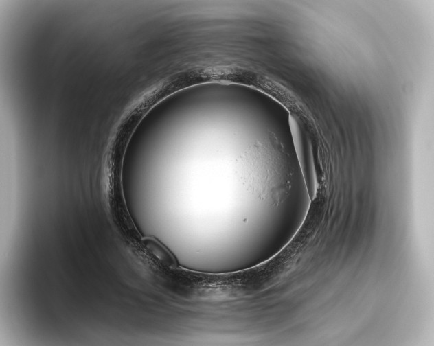 X0000096640732200802051127