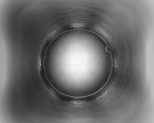 X0000096640733200802051127