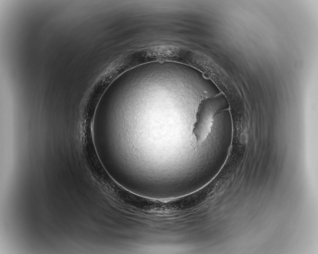 X0000096640735200802051127
