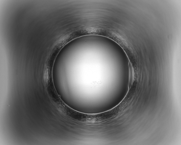 X0000096640740200802051127