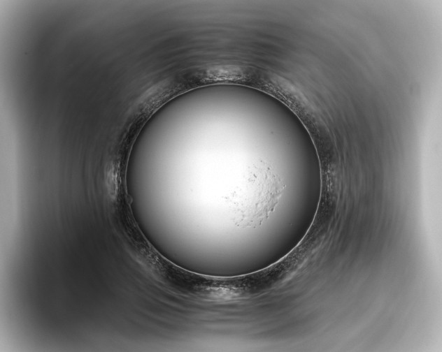 X0000096640741200802051127