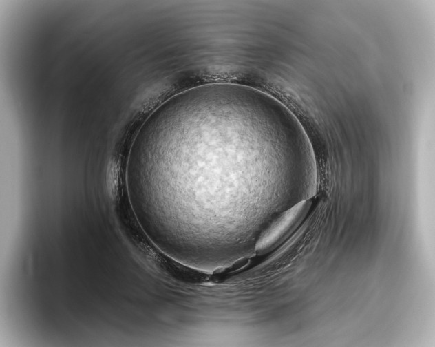 X0000096640742200802051127