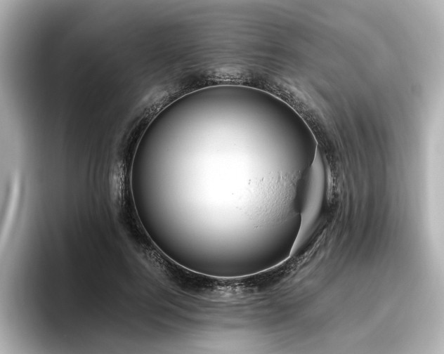 X0000096640744200802051128