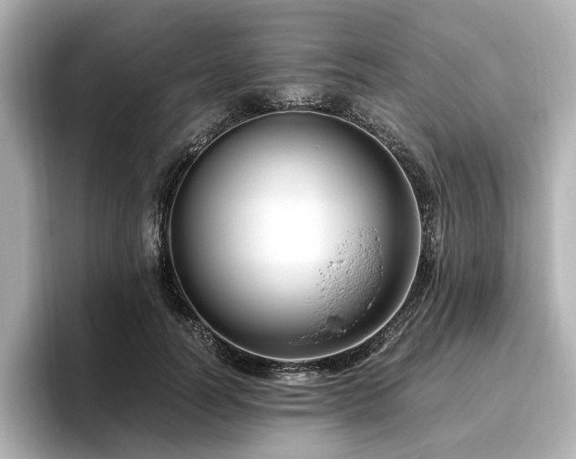 X0000096640746200802051128