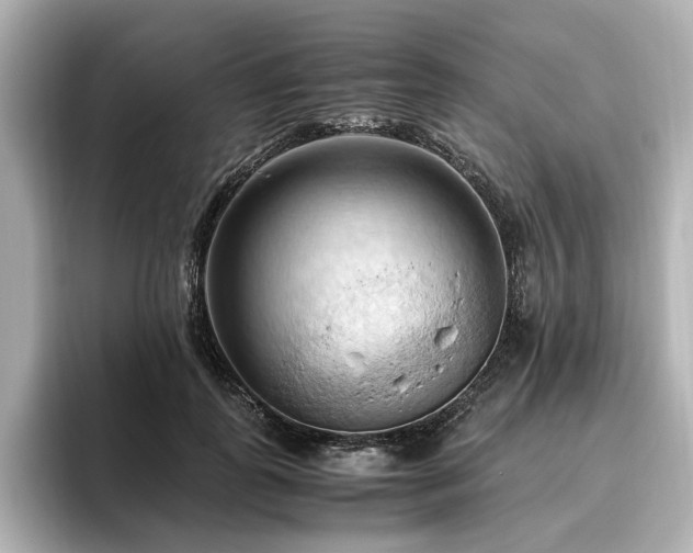 X0000096640747200802051128