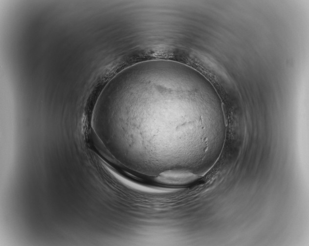 X0000096640748200802051128