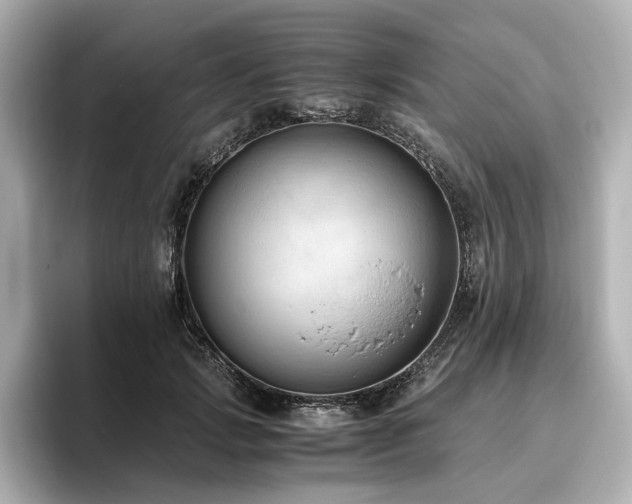 X0000096640749200802051128