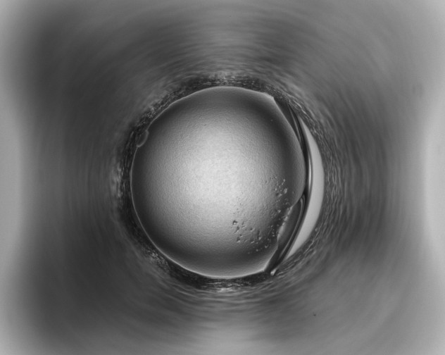 X0000096640750200802051128