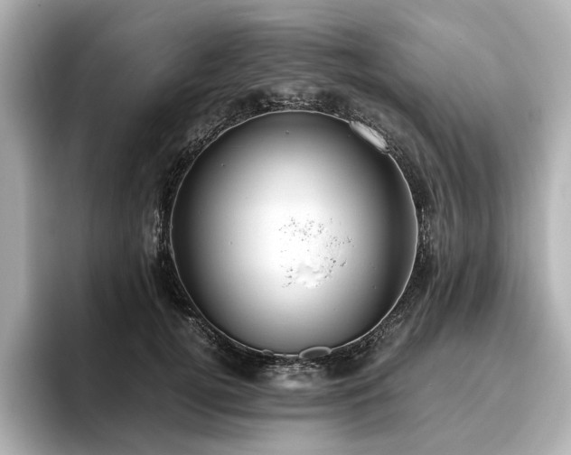 X0000096640752200802051128