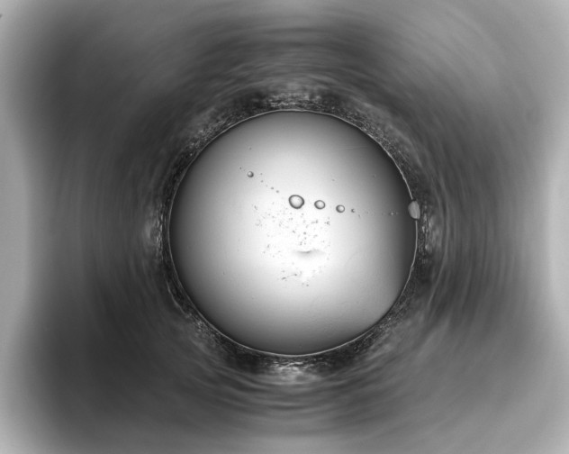 X0000096640753200802051128
