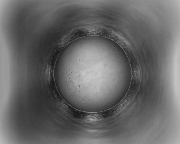 X0000096640757200802051128