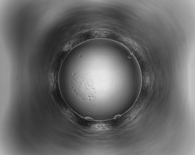 X0000096640759200802051128