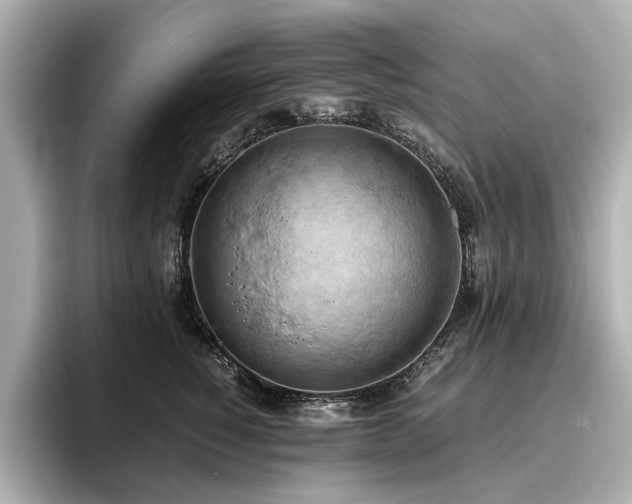 X0000096640760200802051128