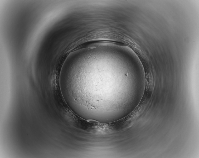 X0000096640762200802051128