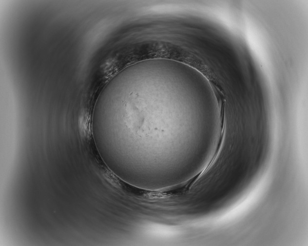 X0000096640766200802051128