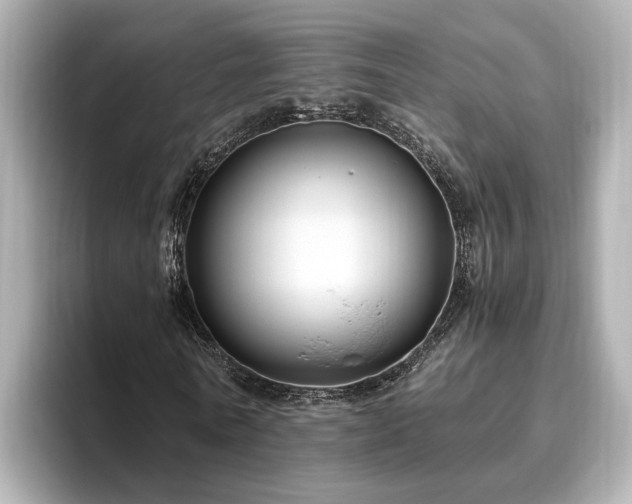 X0000096640770200802051127